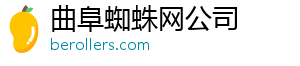 曲阜蜘蛛网公司